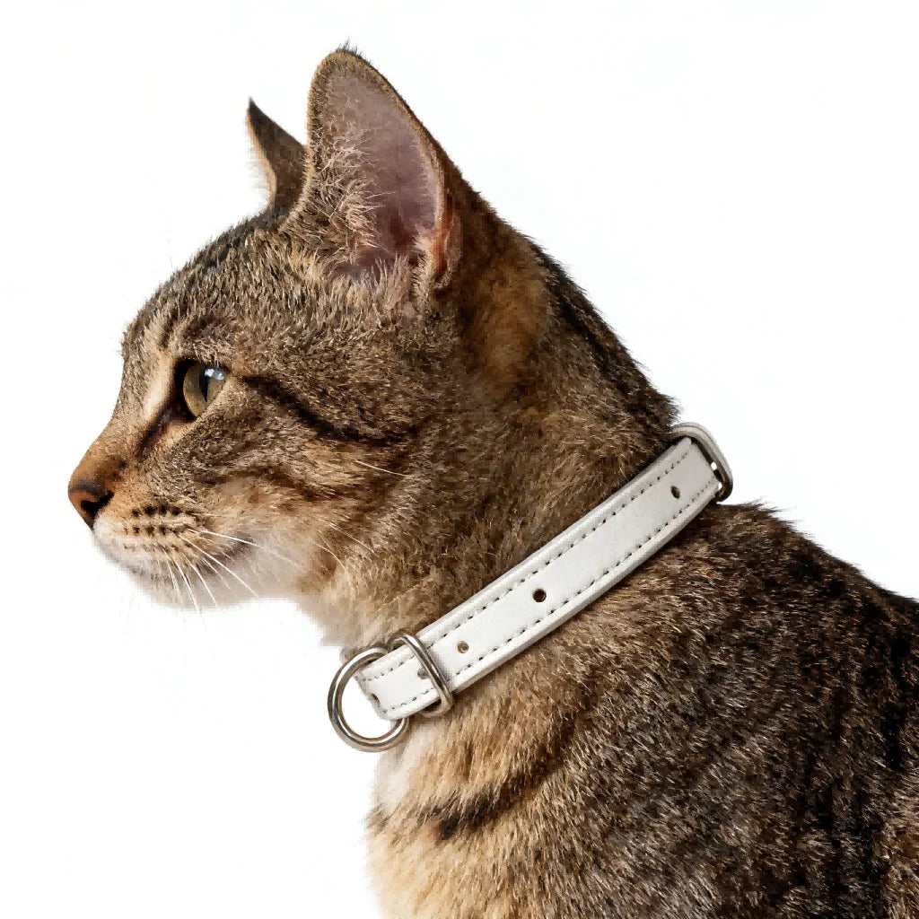 PG0109 I Bio-based Leather Bag Collar Accessories Pet Adjustable Luxury Cat Dog Durable Lightweight Eco Friendly Wholesale cat